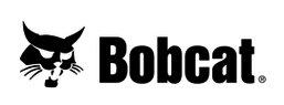 Bobcat